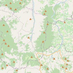 żądło Janina Zakład Fryzjerski Dobczyce Fryzjerzy I Salony